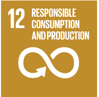 12: Responsible Consumption and Production