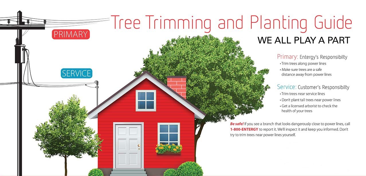 Tree Trimming Miami - True Tree Service truetreeservicemiami.com